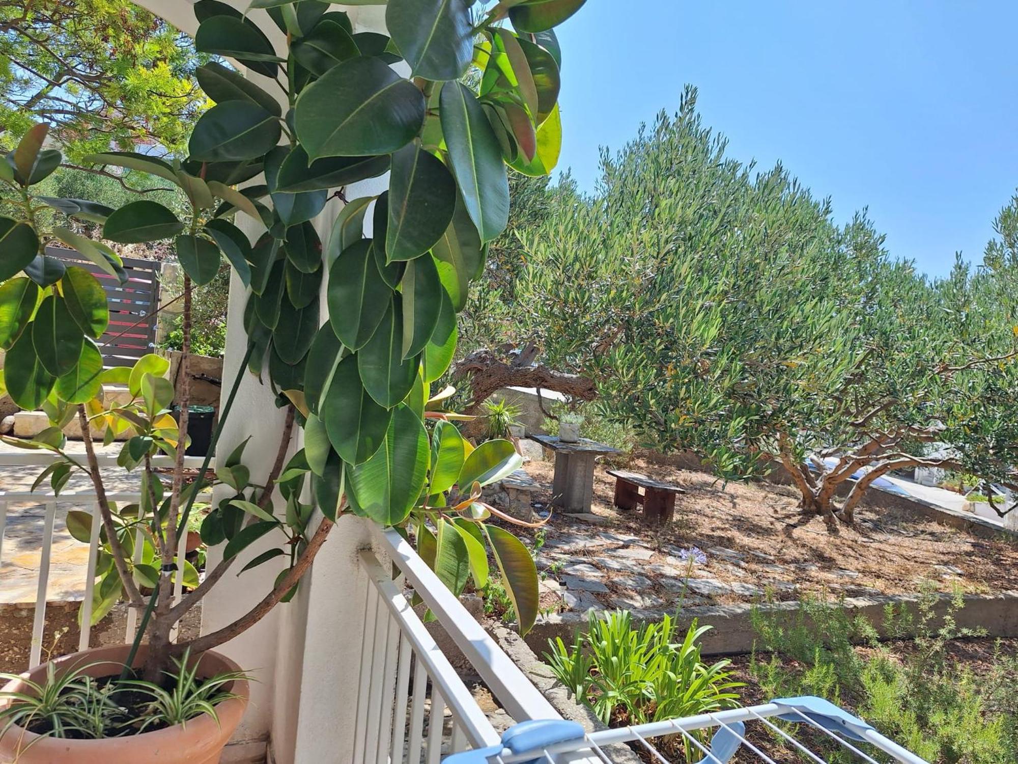 Olive Garden